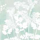Botanical Square 2 Art Print