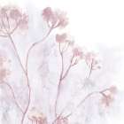 Soft Stems 1 Art Print