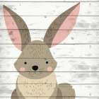Woodland Creatures 4 Art Print