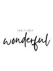 Wonderful Art Print