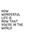 How Wonderful Life Is Art Print