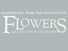 Market Flowers Green Art Print