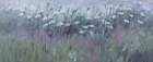 Wildflowers 3 Art Print