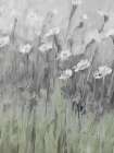 Dusty Wildflowers 1 Art Print