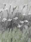 Dusty Wildflowers 2 Art Print