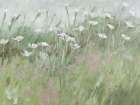 Wildflowers 2 Art Print