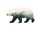 Bear Silhouette 1 Art Print