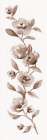 Floral Vine Art Print