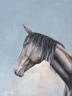 Black Horse Art Print