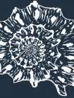 Blue Seashell Art Print