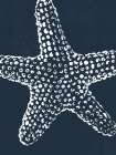 Blue Starfish Art Print