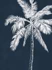 Blue Palm 4 Art Print