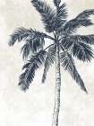 Cream Palm 4 Coastal Print
