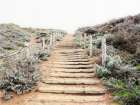 Stairway To Heaven Art Print