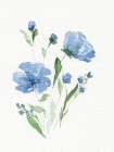 Watercolor Flowers Art Print