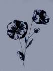 Flower Study 1 Art Print