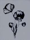 Flower Study 2 Art Print