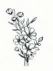 Ink Bouquet 2 Art Print