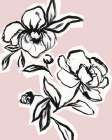 Ink Poppies Silhouette 4 Art Print