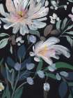 Flower Collection 2 Art Print