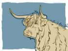 Steer Sketch Minimalist Print