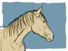 Horse Sketch Art Print