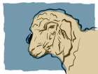 Sheep Sketch Art Print