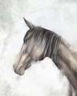 Horse Profile Art Print