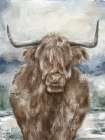 Shaggy Cow Art Print