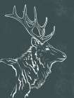 Moose Art Print