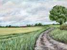 Country Roads Art Print