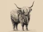 Highland Cow In Charcoal 1 V2 Art Print
