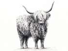 Highland Cow In Charcoal 1 Art Print