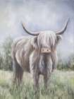 Highland Cow 1 Art Print