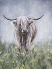 Highland Cow 2 Art Print