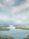 Marsh Art Print