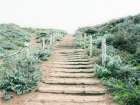 Stairway To Heaven Art Print