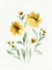 Watercolor Flowers 1 Art Print