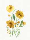 Watercolor Flowers 2 Art Print