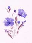 Watercolor Purple Flowers 1 Art Print