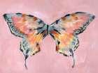 Butterfly Art Print