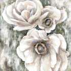 White Flowers 1 Art Print