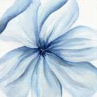 Watercolor Closeup Art Print