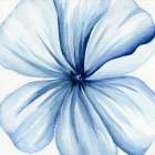 Watercolor Closeup 2 Art Print