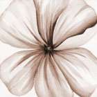 Watercolor Closeup 2 Art Print