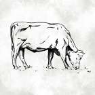 Grazing Cow White Minimalist Print