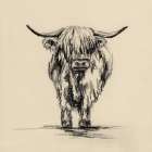 Highland Cow In Charcoal 2 V2 Art Print