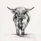 Highland Cow In Charcoal 2 Minimalist Print