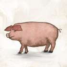 Pig Art Print