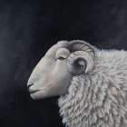 White Sheep Art Print